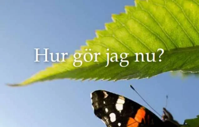 Hur gör jag nu?